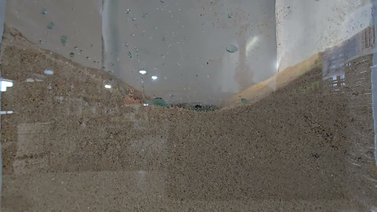 Hydrophobic coated sand holding a pool of water on the surface without soaking in.